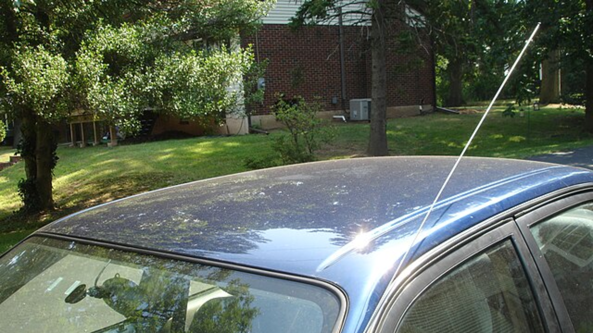 Editors%2 Fimages%2 F1746589924233 8