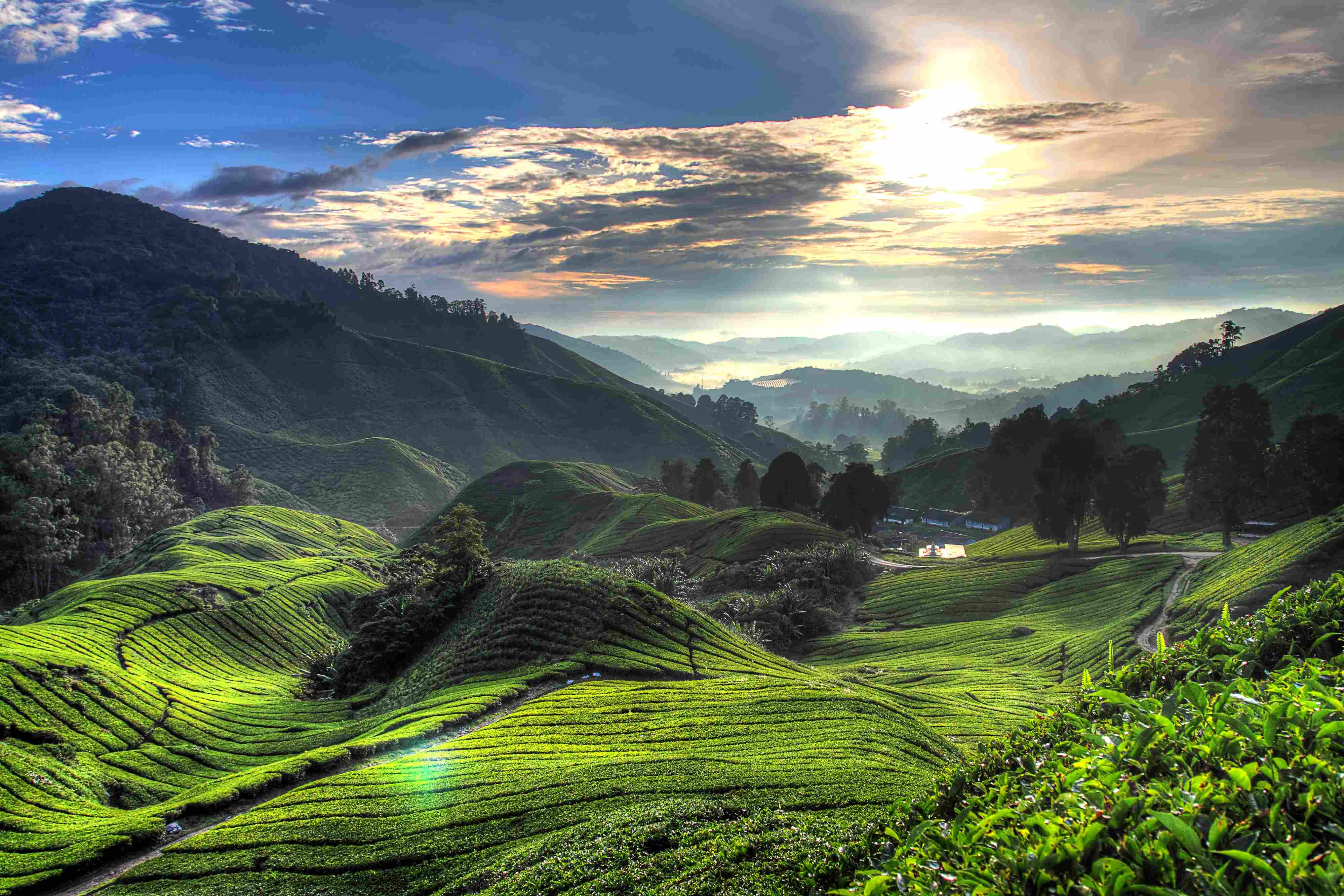 编辑者％2 fimages％2 f1748750903336探索+马来西亚+++Road+Road+Trip+Adventures+Adventures+Takeic+Scenic+奇迹++PIC4
