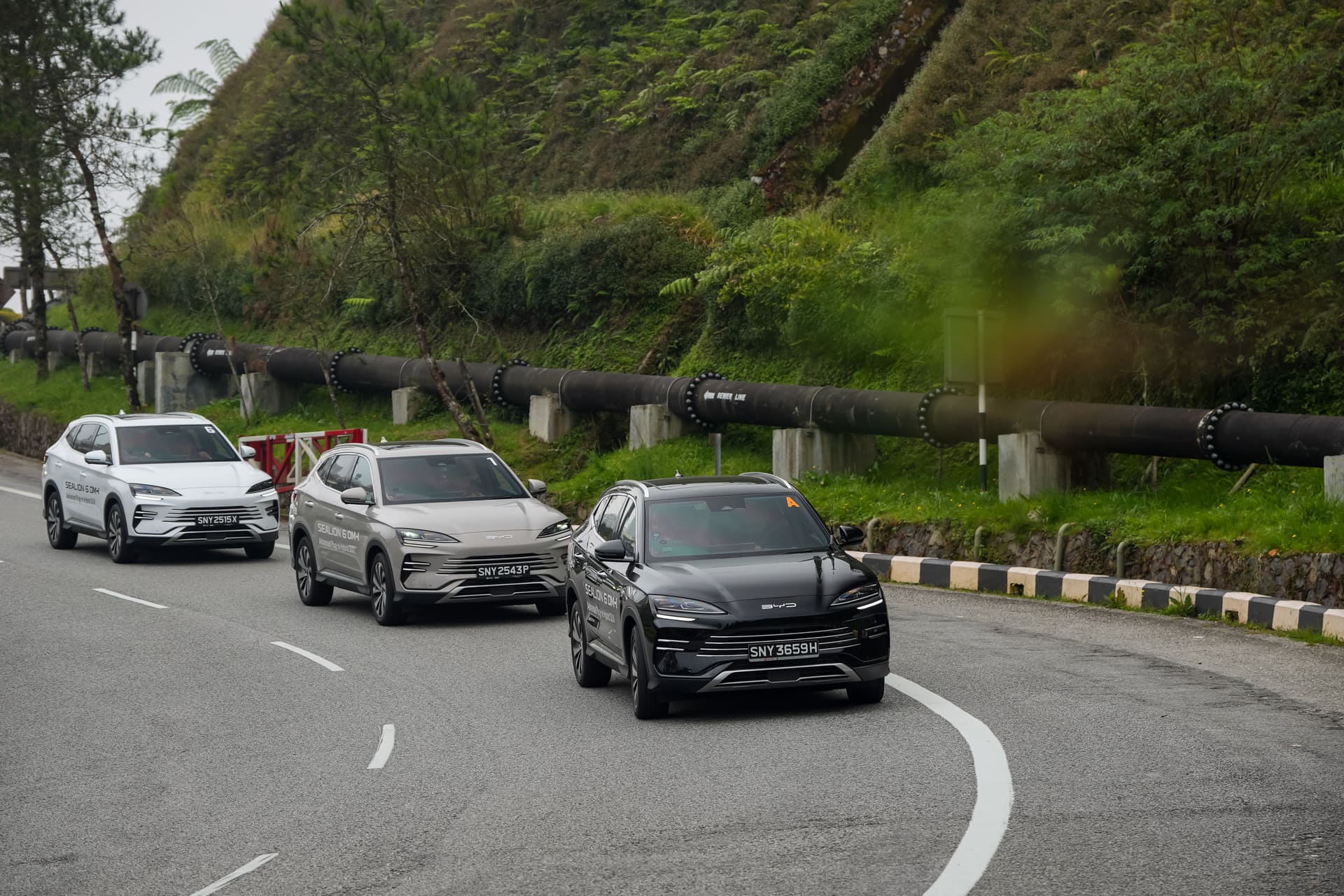 Editors%2 Fimages%2 F1752474643412 20250702 Byd00037