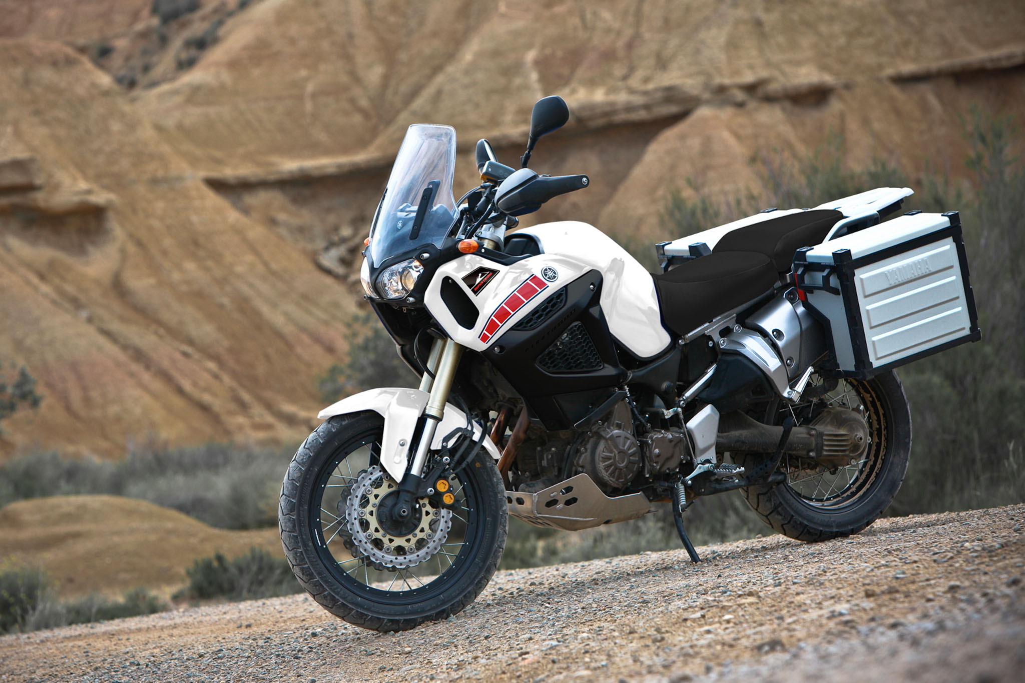 Editors%2 Fimages%2 F1758000831233 Motorist Guide To Coe 3