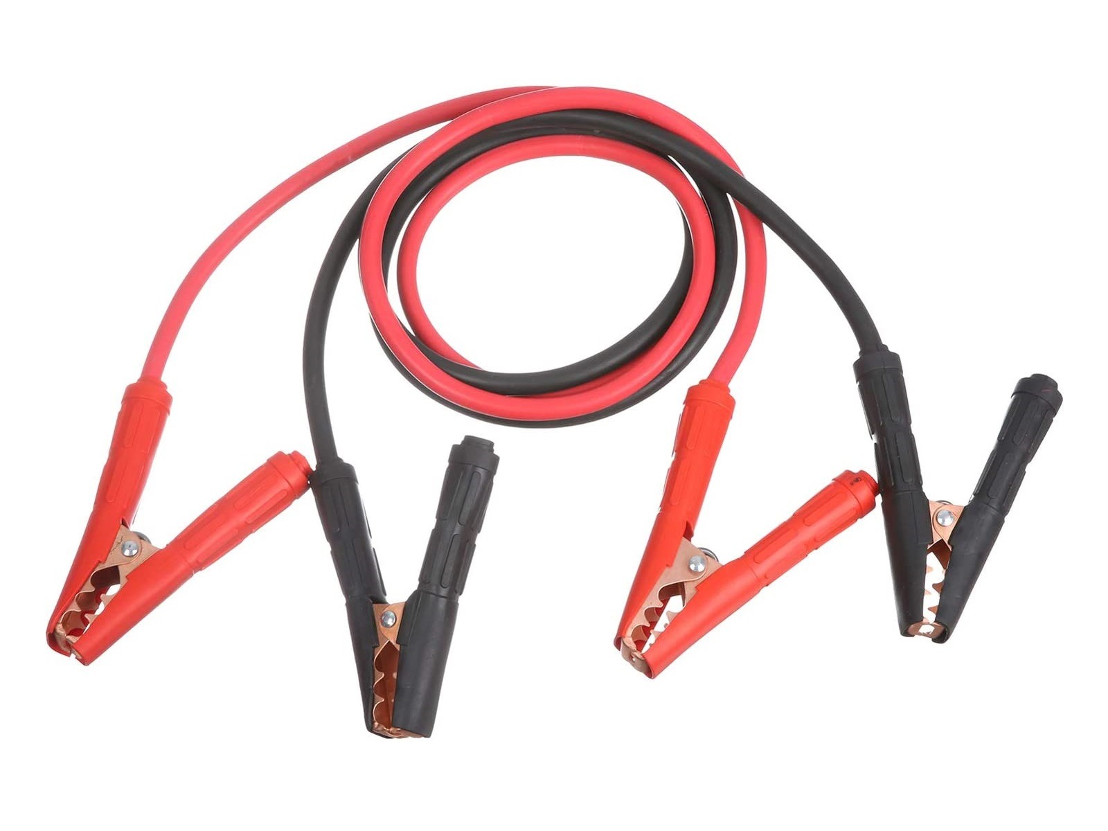 Editors%2 Fimages%2 F1764829088169 1764829088169