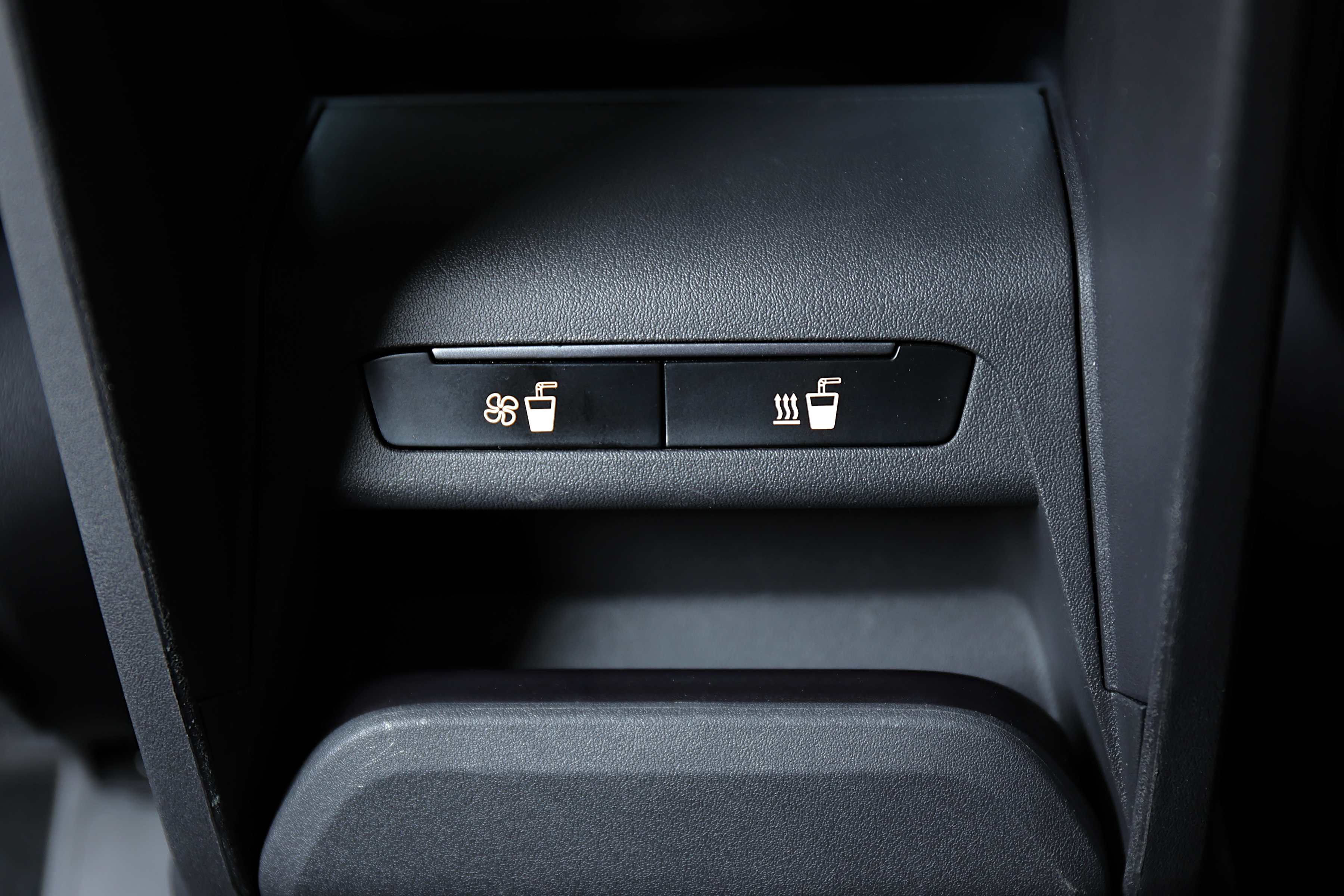 Editors%2 Fimages%2 F1768368418067 Eos 4474 Fotor