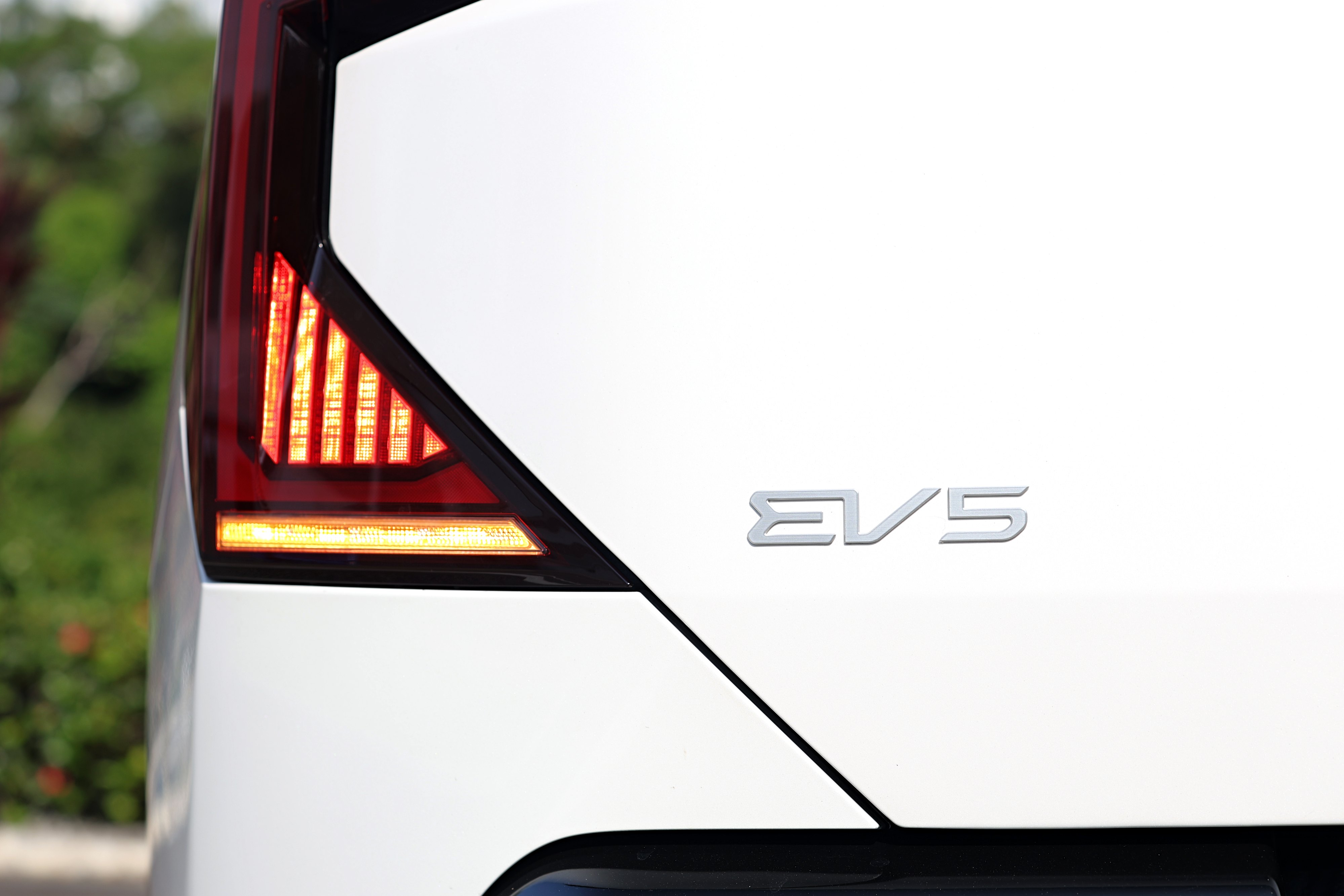 Editors%2 Fimages%2 F1768368467411 Eos 4431 Fotor