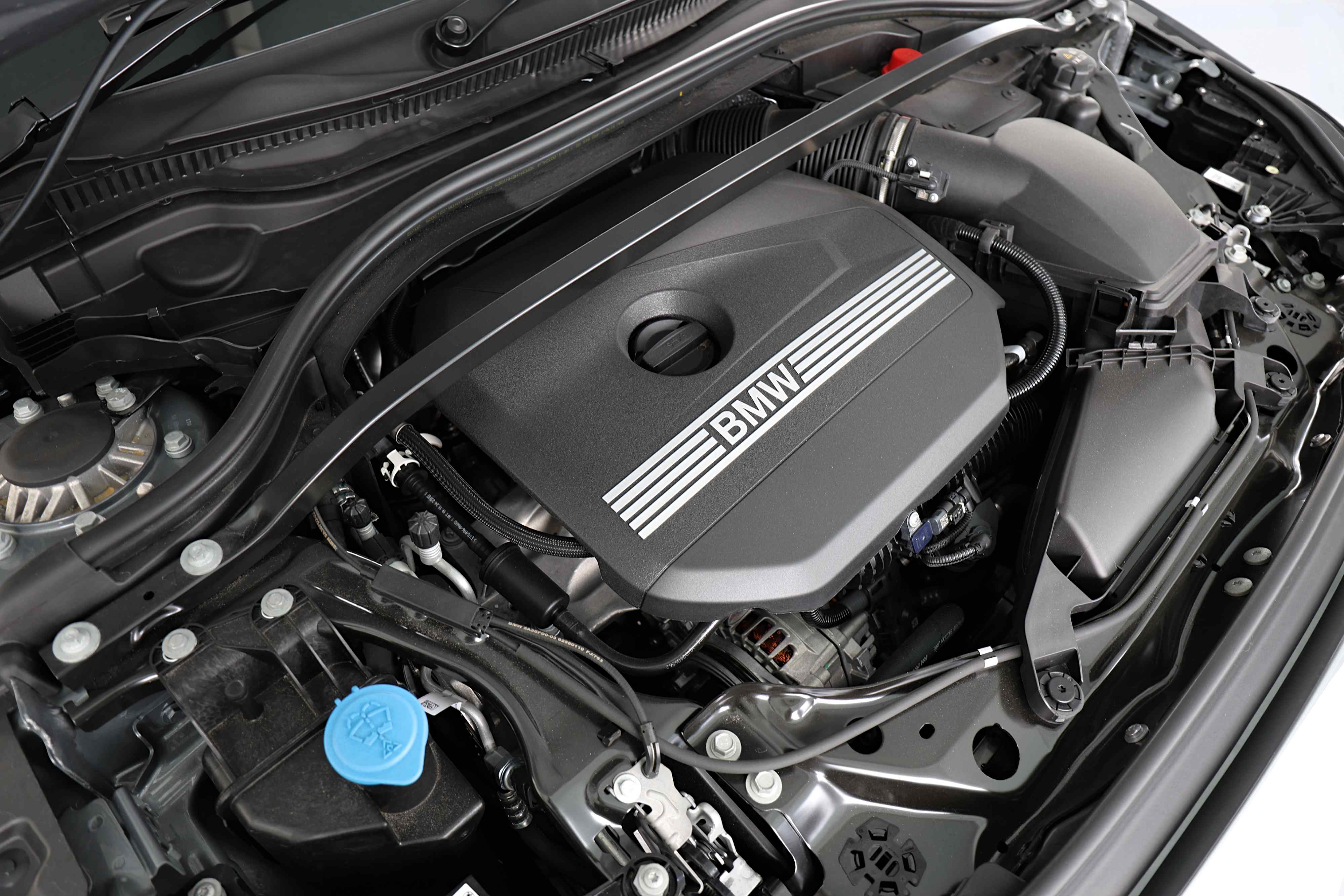 Editors%2 Fimages%2 F1768459303823 Eos 5353 Fotor