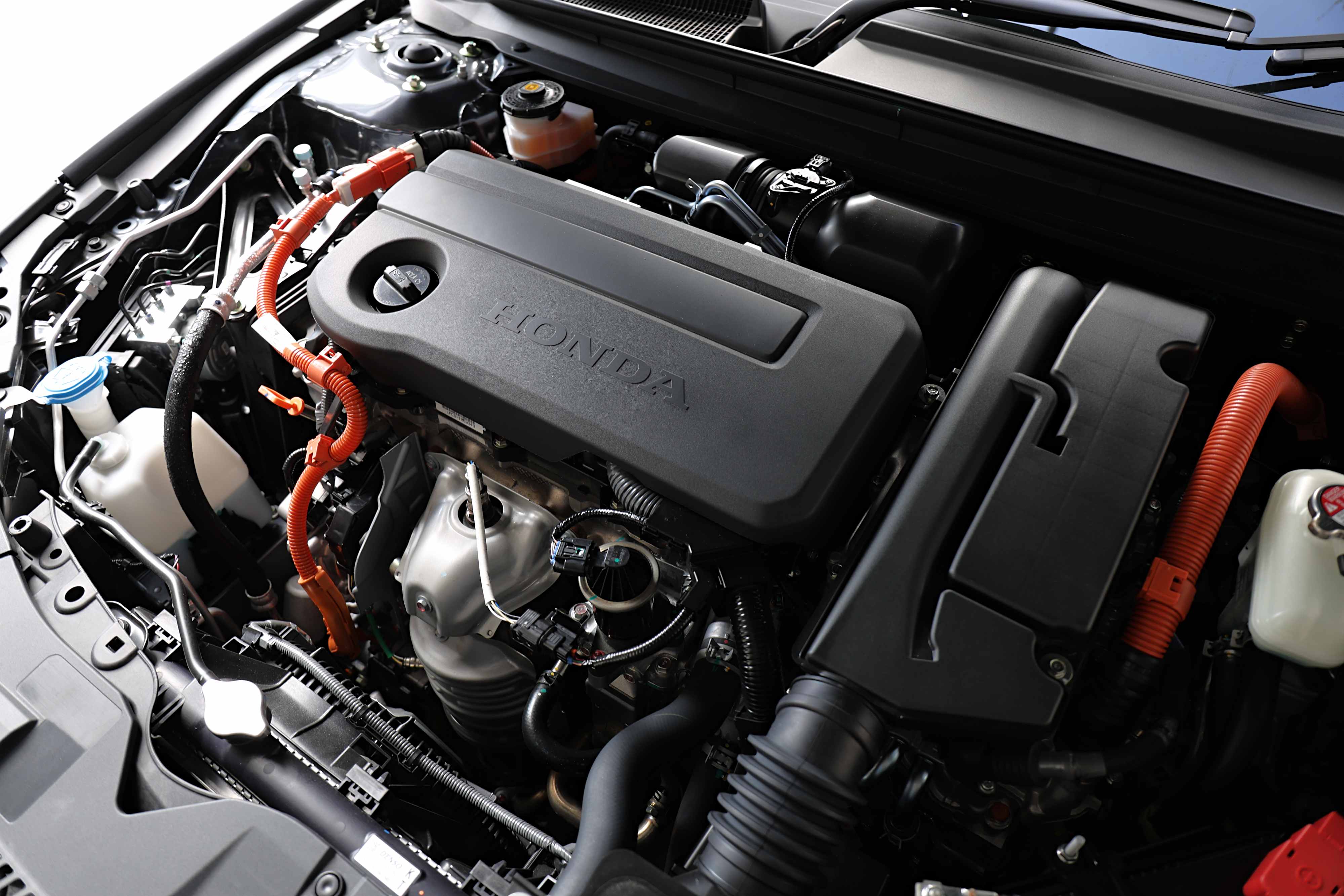 Editors%2 Fimages%2 F1769058512183 Eos 1267 Fotor