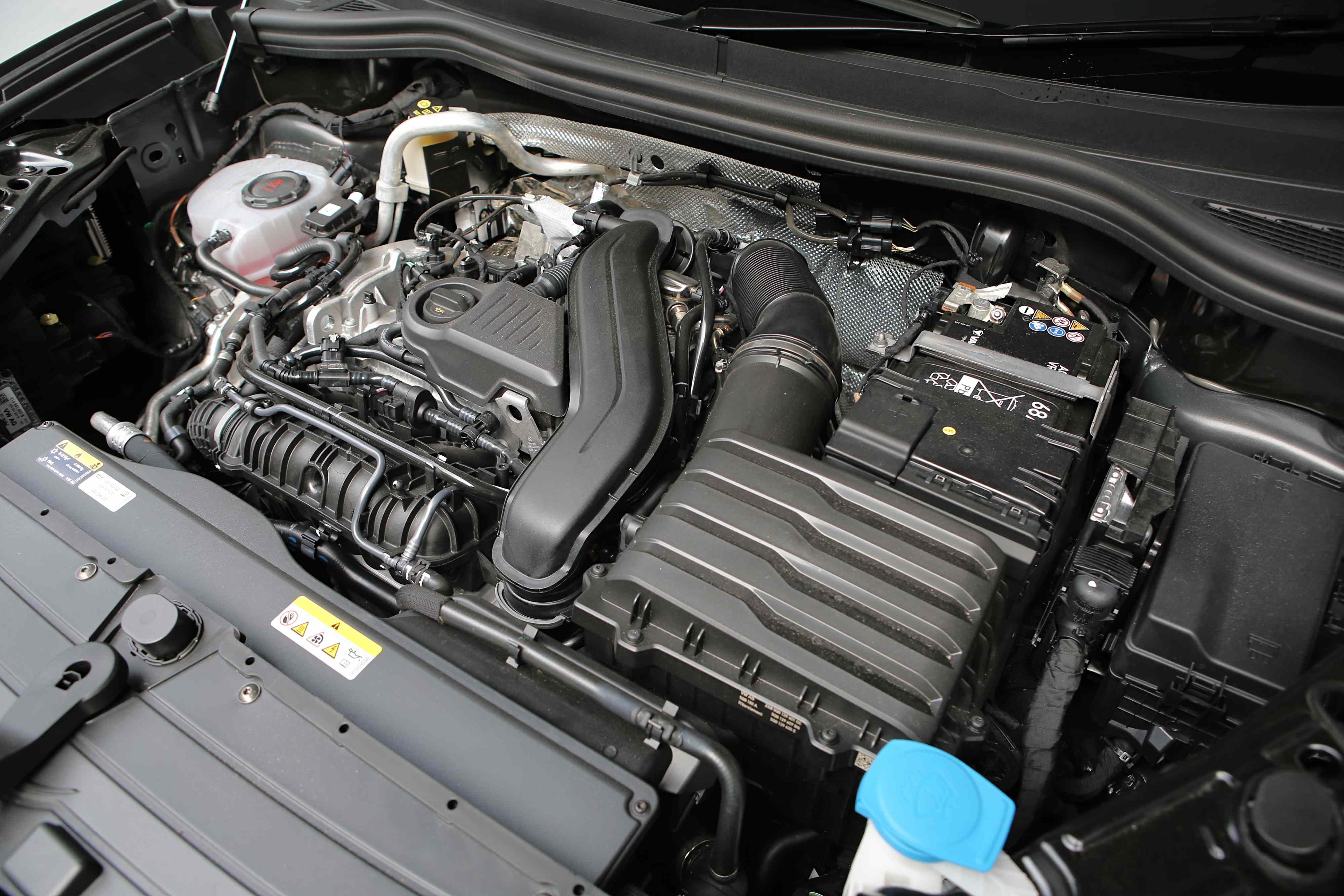 Editors%2 Fimages%2 F1769408257589 D38 V6641 Fotor