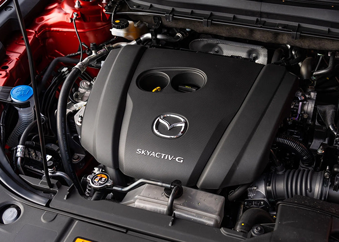 Editors%2 Fimages%2 F1772184656261 1772184656261