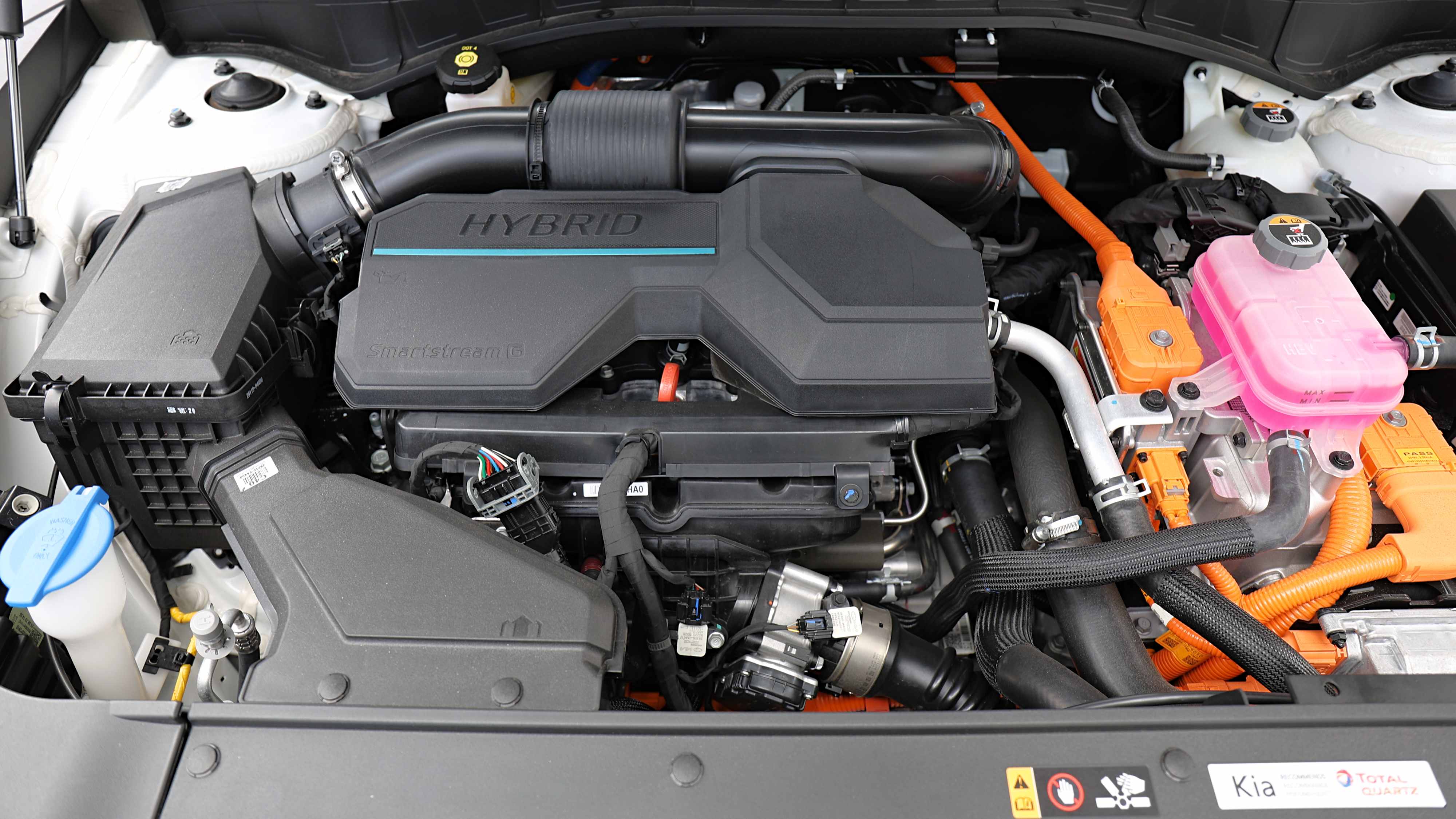 Editors%2 Fimages%2 F1772428684793 Eos 0551 Fotor