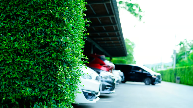 Sun Damage 3 car park shade