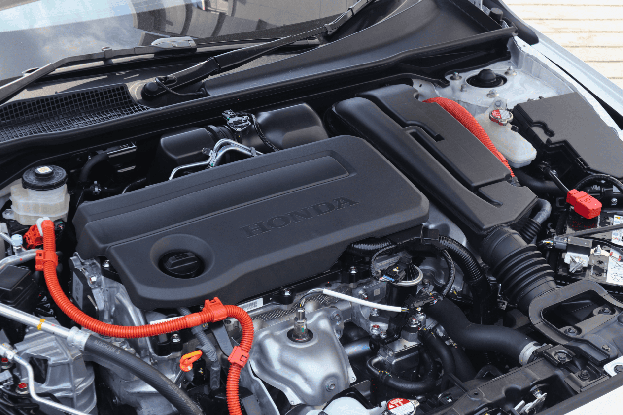 Editors%2 Fimages%2 F1772428684793 Eos 0551 Fotor