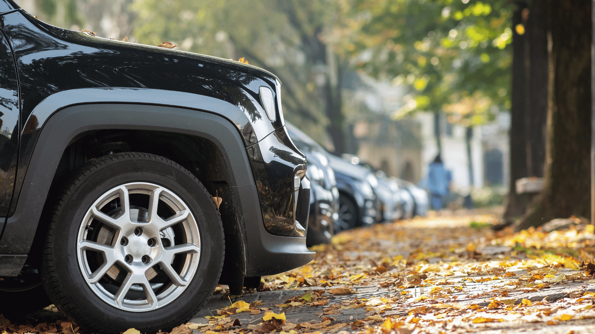 Editors%2 Fimages%2 F1777514043972 Cars+%282%29+%281%29