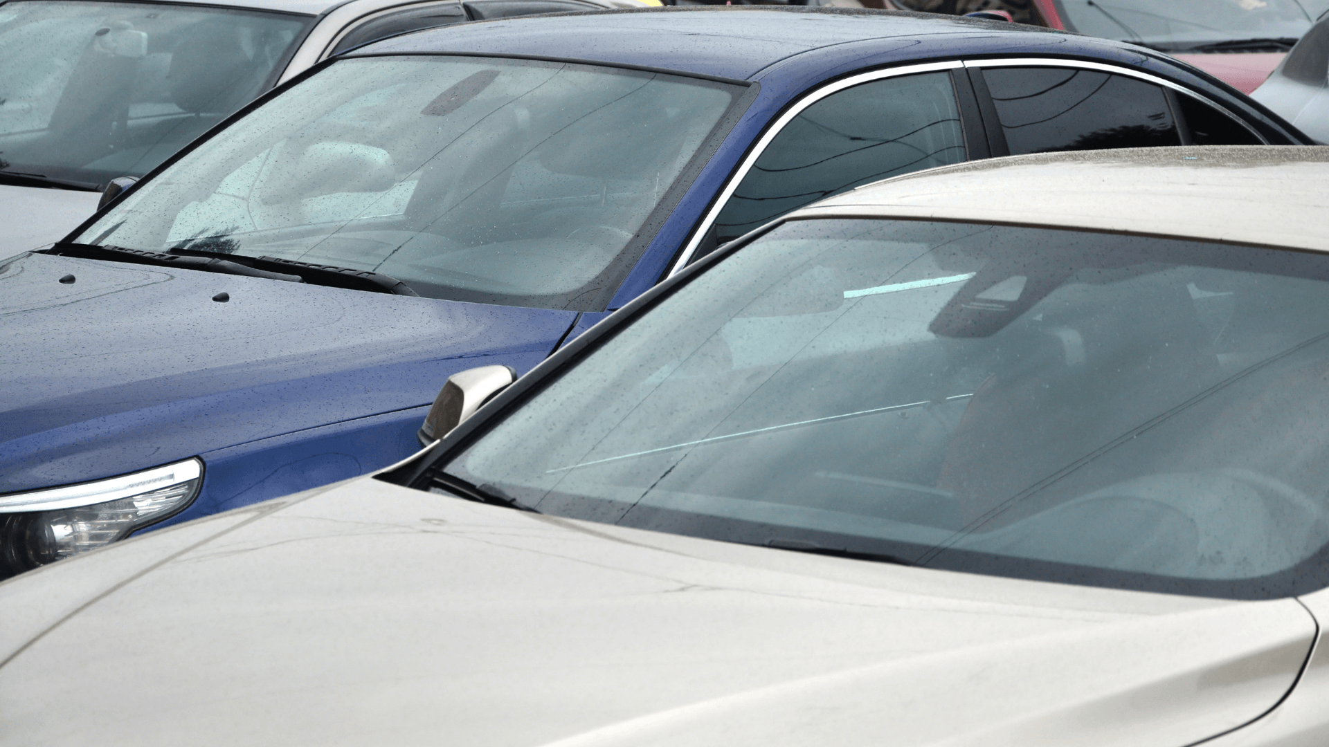 Editors%2 Fimages%2 F1777884990291 Blacklisted+Cars+Malaysia+%281%29+%281%29