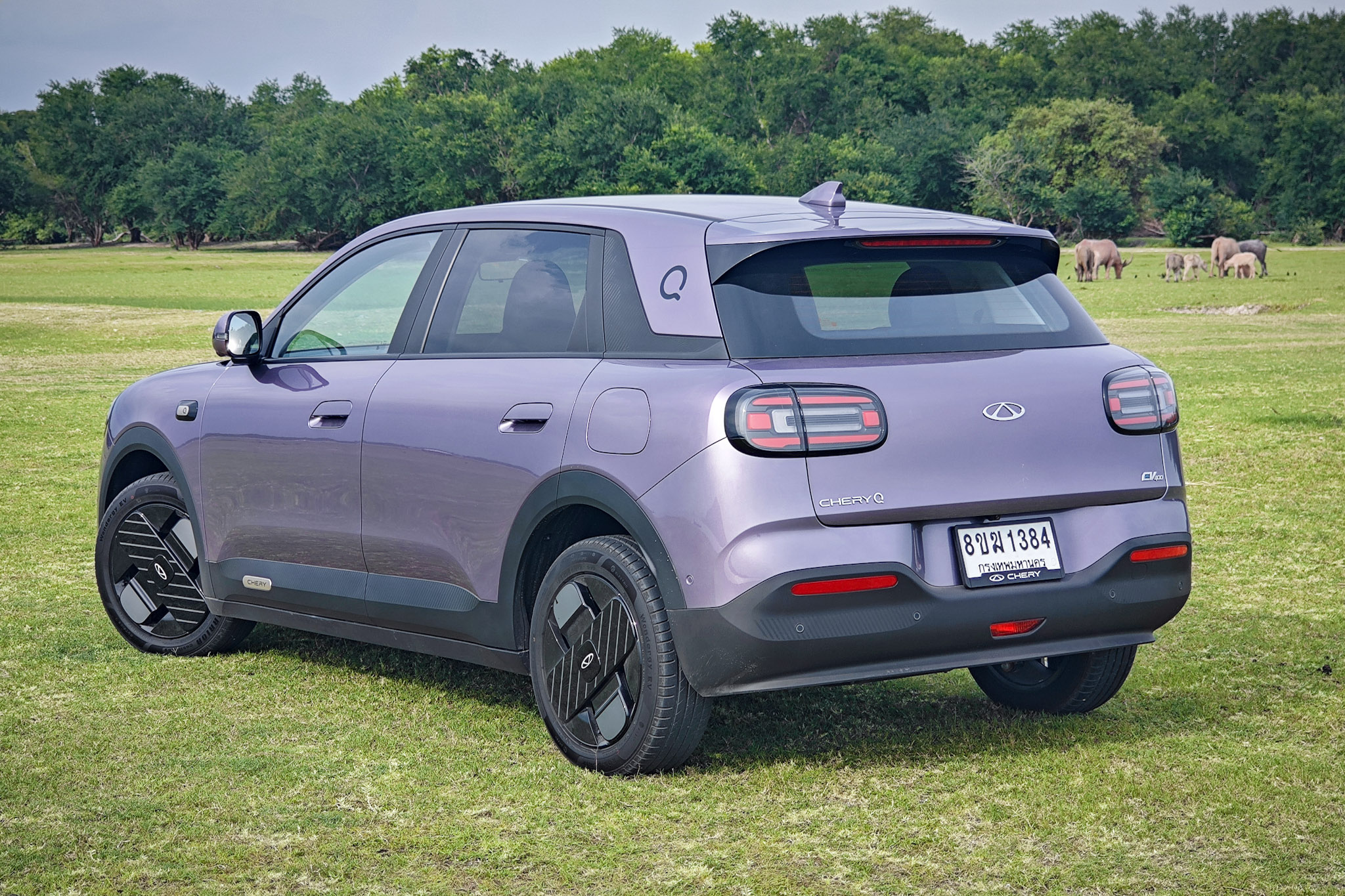 Rear design profile of Chery Q