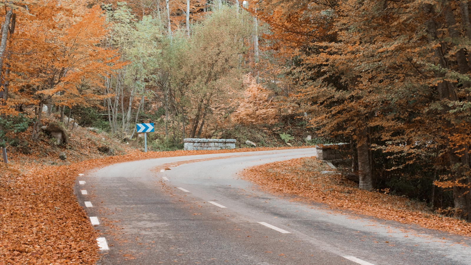 Rata Loop Mesmerising Malaysian landscapes: journeying by car reveals nature's ...