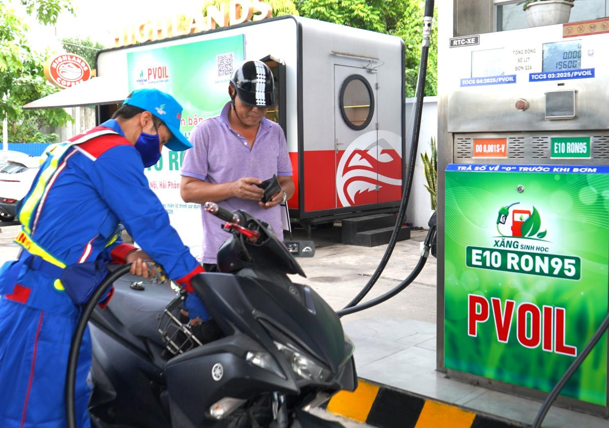 WHAT IS GASOLINE E10 visual data 4