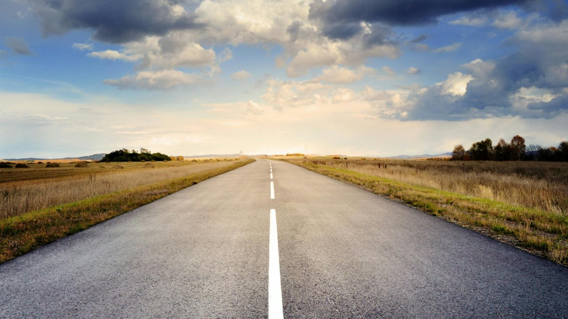 8 Types of Singaporean Drivers You'll Find on Our Roads | Articles ...