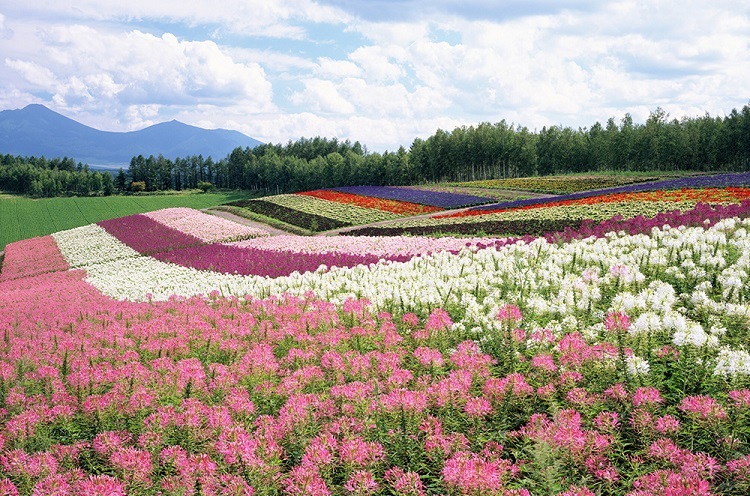 Motorist Scenic Roads 8