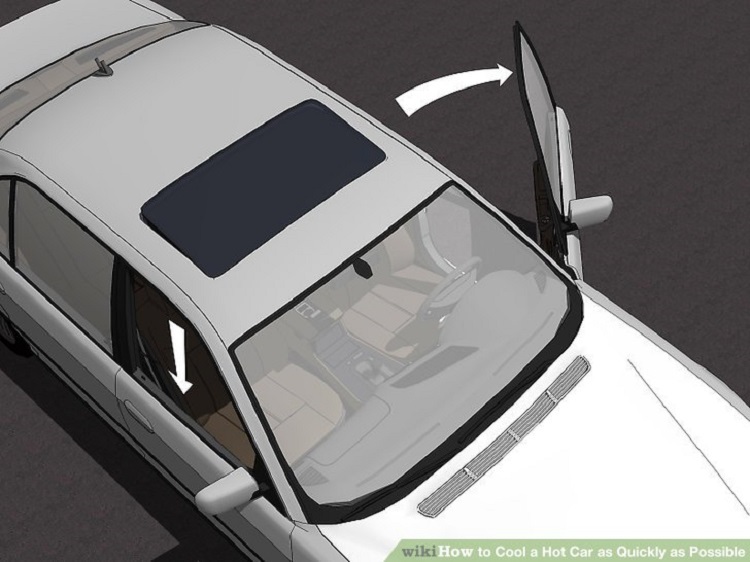 Motorist Fanning Car Door