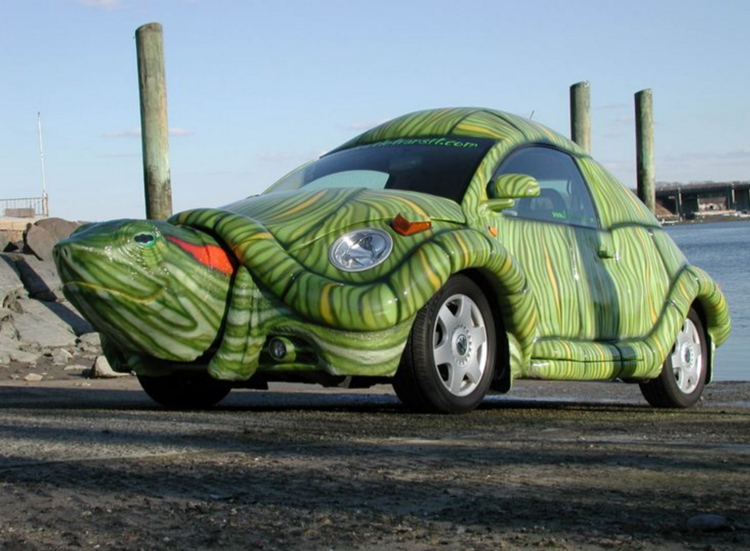 Volkswagen Beetle Turtle Car