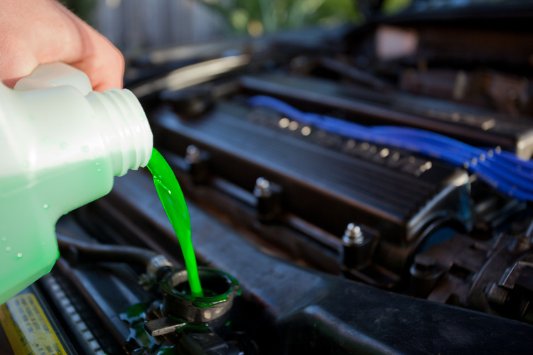 Sun Damage 6 car coolant