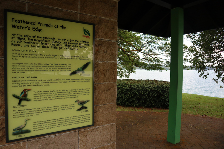 Upper Peirce Reservoir