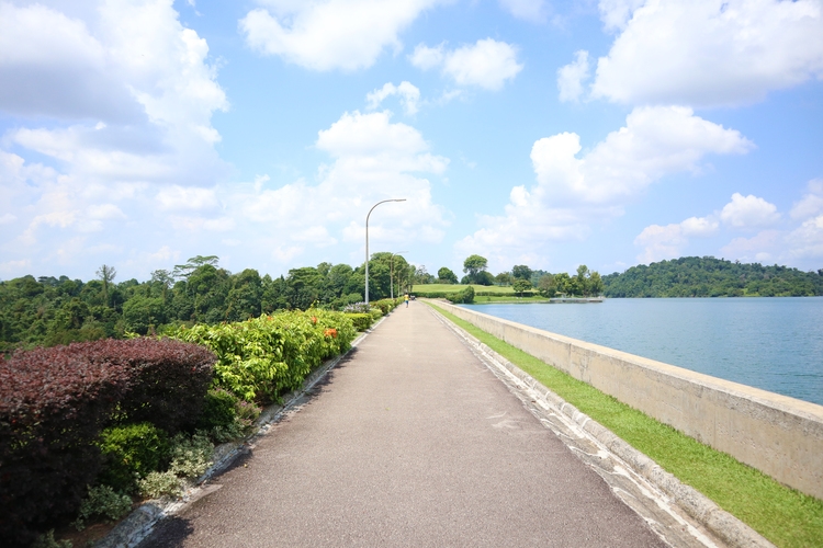 Upper Peirce Reservoir jogging track
