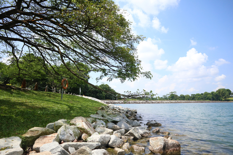 Upper Peirce Reservoir rocks