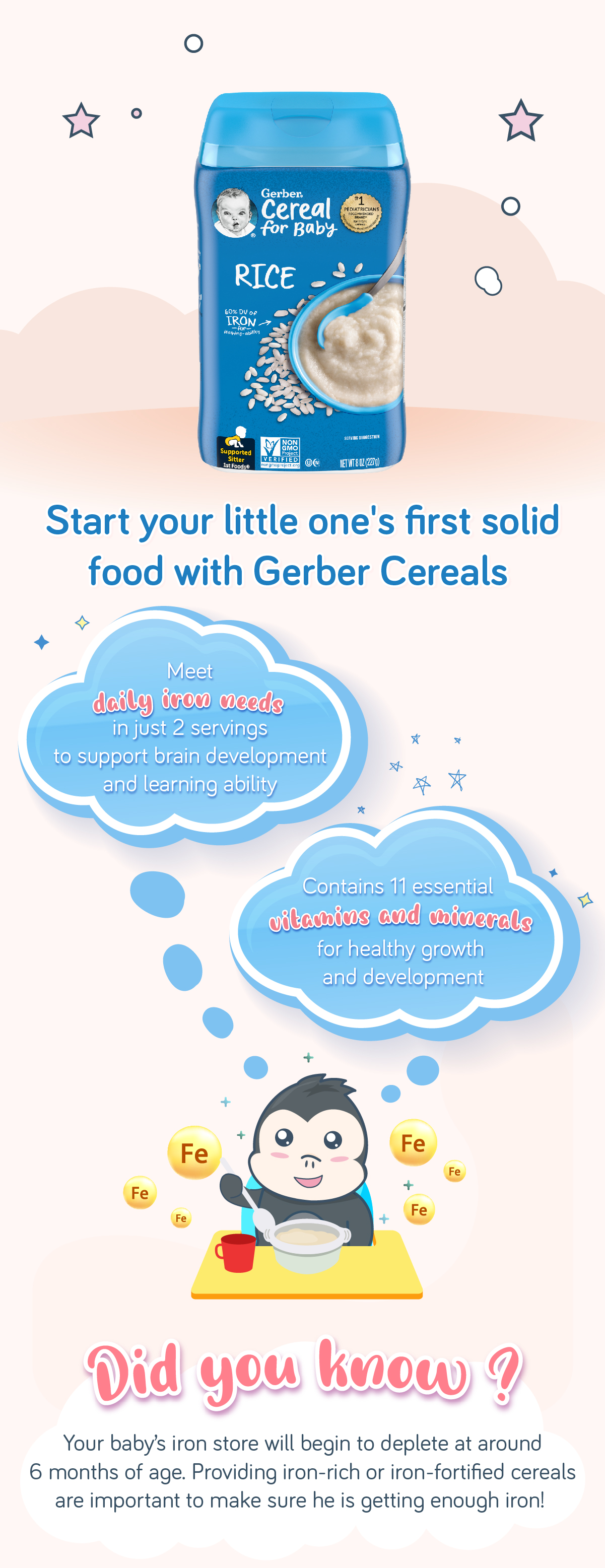 Gerber Single Grain Cereal Rice 227g Container – BB King Kong