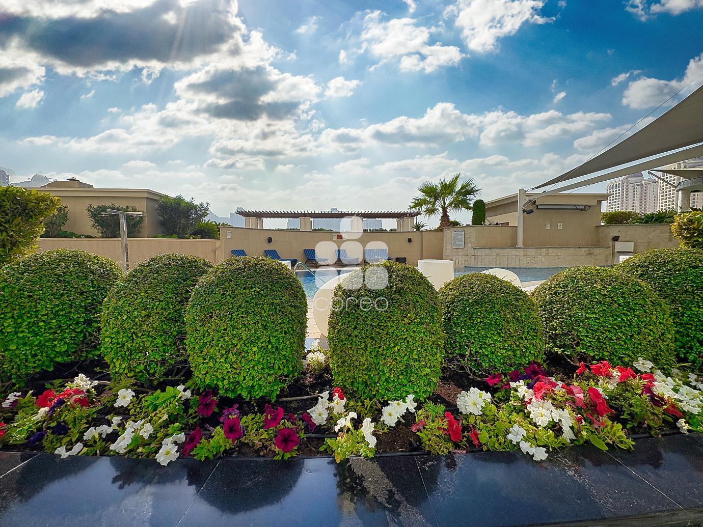Image of property for rent sale in Qatar apartments villas offices