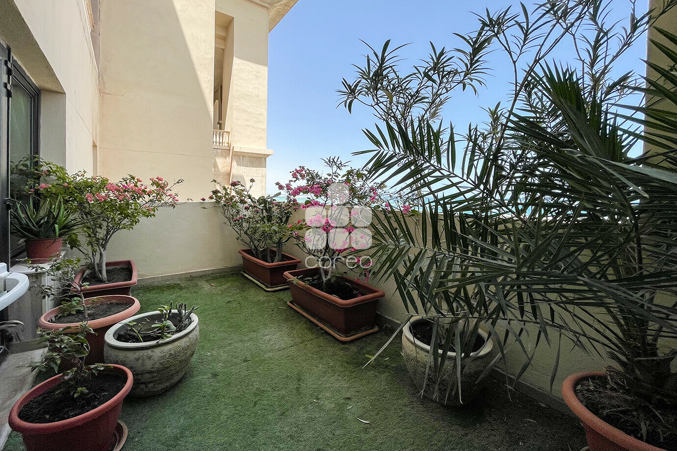 Image of property for rent sale in Qatar apartments villas offices