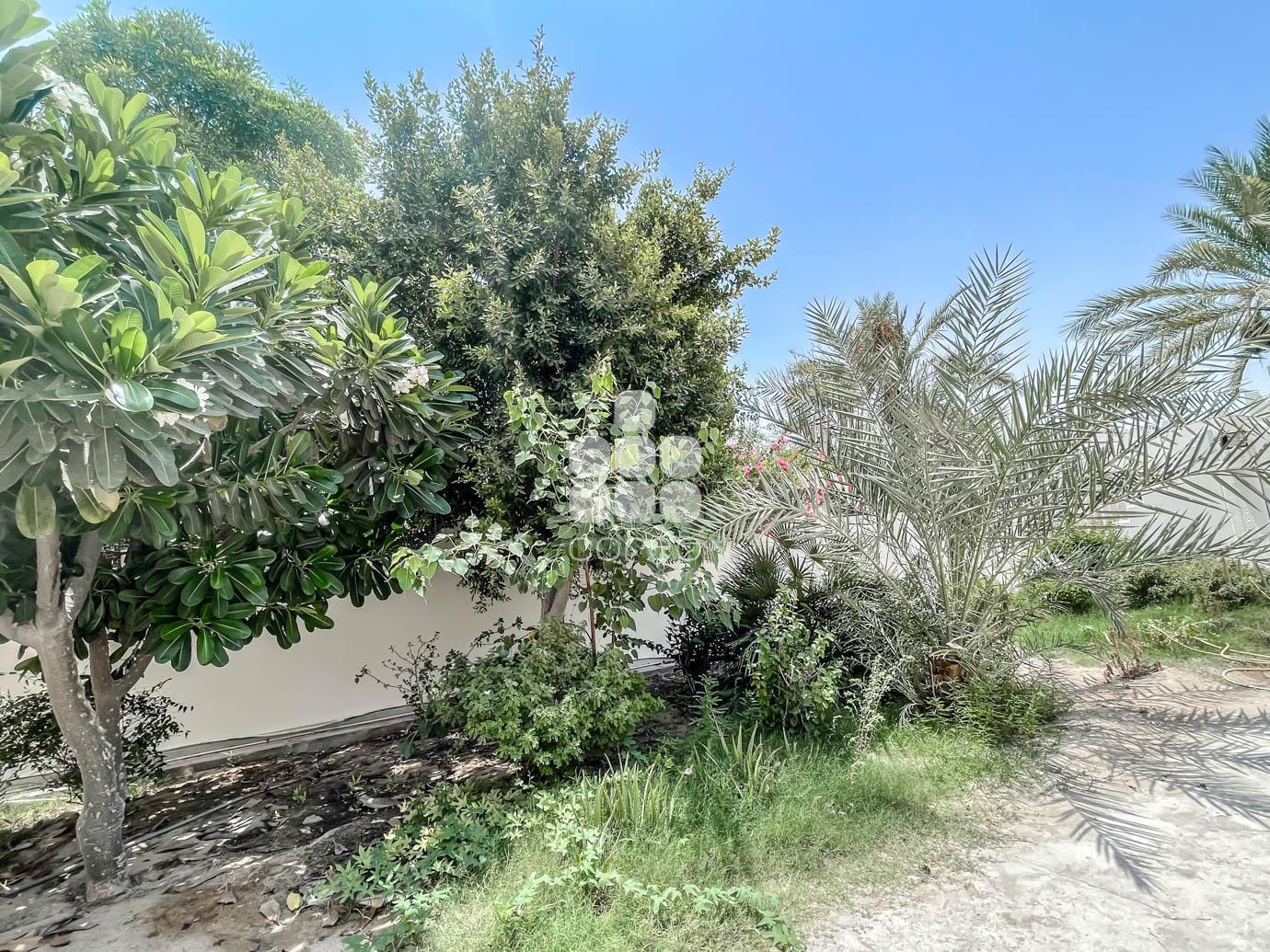 Image of property for rent sale in Qatar apartments villas offices