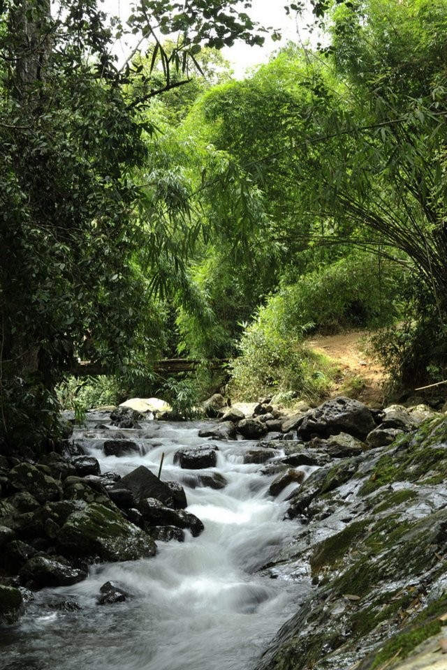 Con suối nhỏ dẫn lối đưa bạn đến thác Tà Ngào