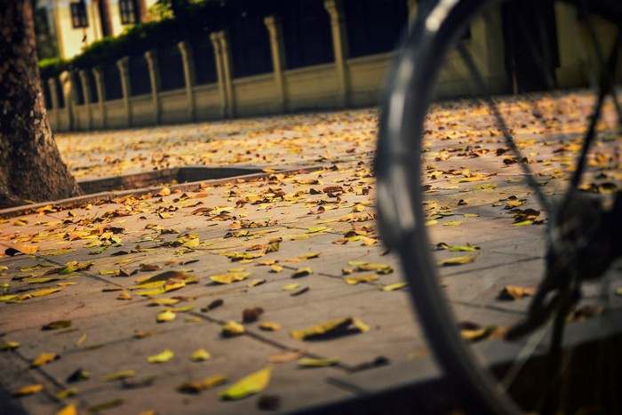 Lãng đãng cùng Hà Nội mùa thu