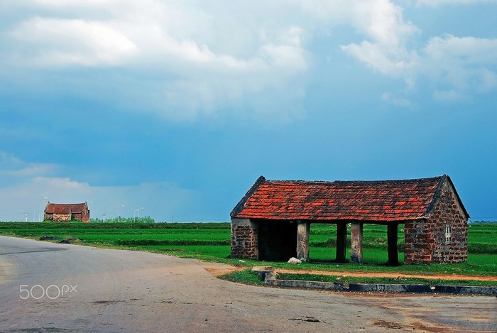Vùng quê thanh bình của Hà Nội