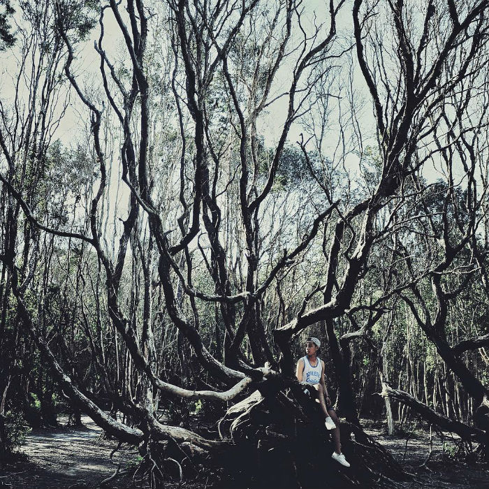 Rừng Quốc Gia Bình Châu - Có Một Khu Rừng Huyền Bí Như Vậy Sao? - ảnh 1 rung quoc gia binh chau - co mot khu rung huyen bi nhu vay sao? - anh 1