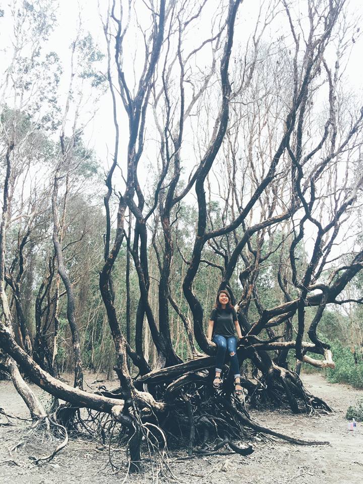 Rừng Quốc Gia Bình Châu - Có Một Khu Rừng Huyền Bí Như Vậy Sao? - ảnh 10 rung quoc gia binh chau - co mot khu rung huyen bi nhu vay sao? - anh 10