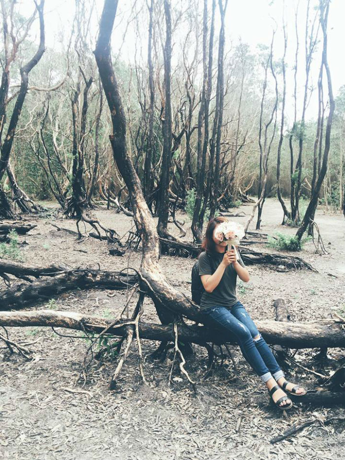 Rừng Quốc Gia Bình Châu - Có Một Khu Rừng Huyền Bí Như Vậy Sao? - ảnh 2 rung quoc gia binh chau - co mot khu rung huyen bi nhu vay sao? - anh 2