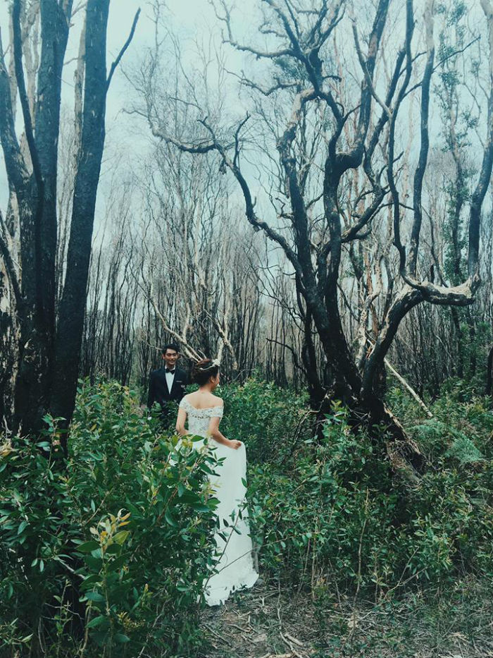 Rừng Quốc Gia Bình Châu - Có Một Khu Rừng Huyền Bí Như Vậy Sao? - ảnh 5 rung quoc gia binh chau - co mot khu rung huyen bi nhu vay sao? - anh 5