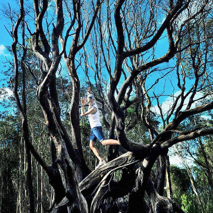 Rừng Quốc Gia Bình Châu - Có Một Khu Rừng Huyền Bí Như Vậy Sao? - ảnh 7 rung quoc gia binh chau - co mot khu rung huyen bi nhu vay sao? - anh 7