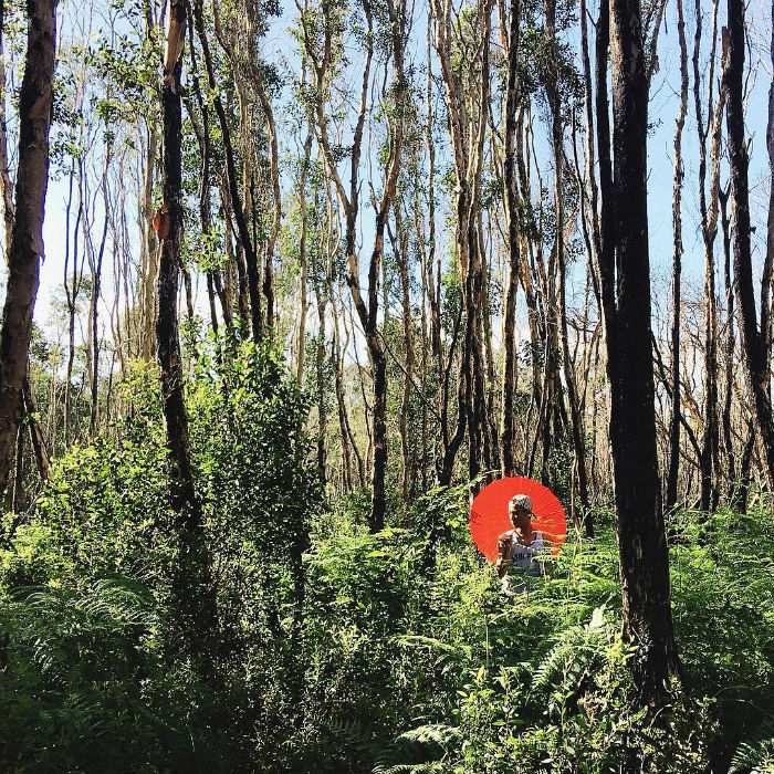 Rừng Quốc Gia Bình Châu - Có Một Khu Rừng Huyền Bí Như Vậy Sao? - ảnh 8 rung quoc gia binh chau - co mot khu rung huyen bi nhu vay sao? - anh 8