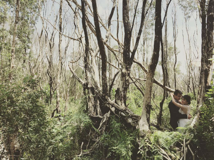 Rừng Quốc Gia Bình Châu - Có Một Khu Rừng Huyền Bí Như Vậy Sao? - ảnh 9 rung quoc gia binh chau - co mot khu rung huyen bi nhu vay sao? - anh 9