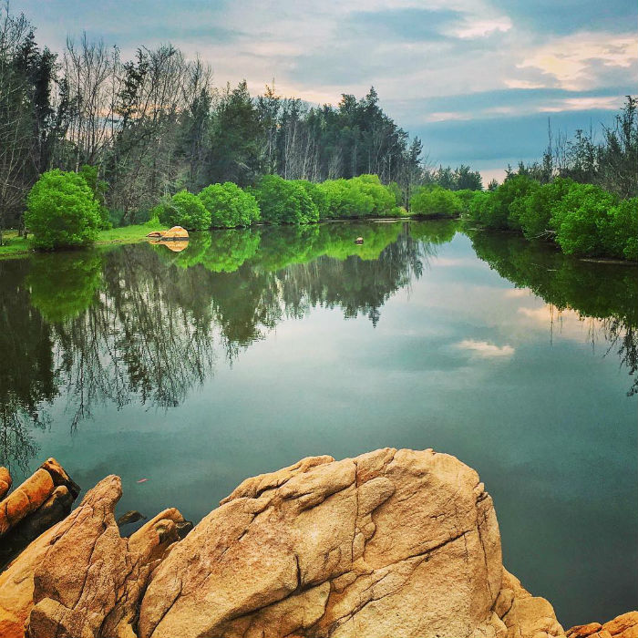 Rừng Quốc Gia Bình Châu - Có Một Khu Rừng Huyền Bí Như Vậy Sao? - ảnh 12 rung quoc gia binh chau - co mot khu rung huyen bi nhu vay sao? - anh 12