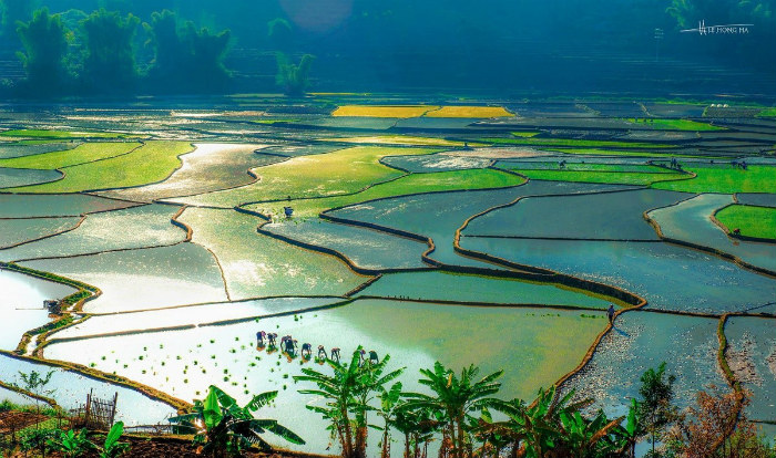 Than Uyên mùa nước đổ