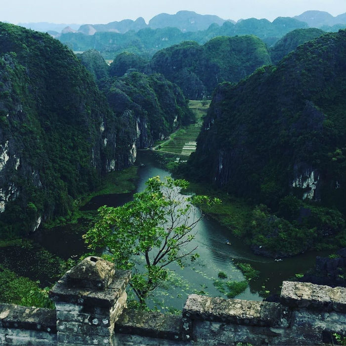 Màu xanh của những ngày không có lúa