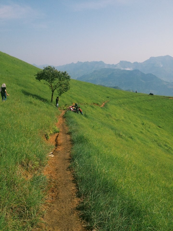 Đôi khi cần có sự trợ giúp của đồng đội