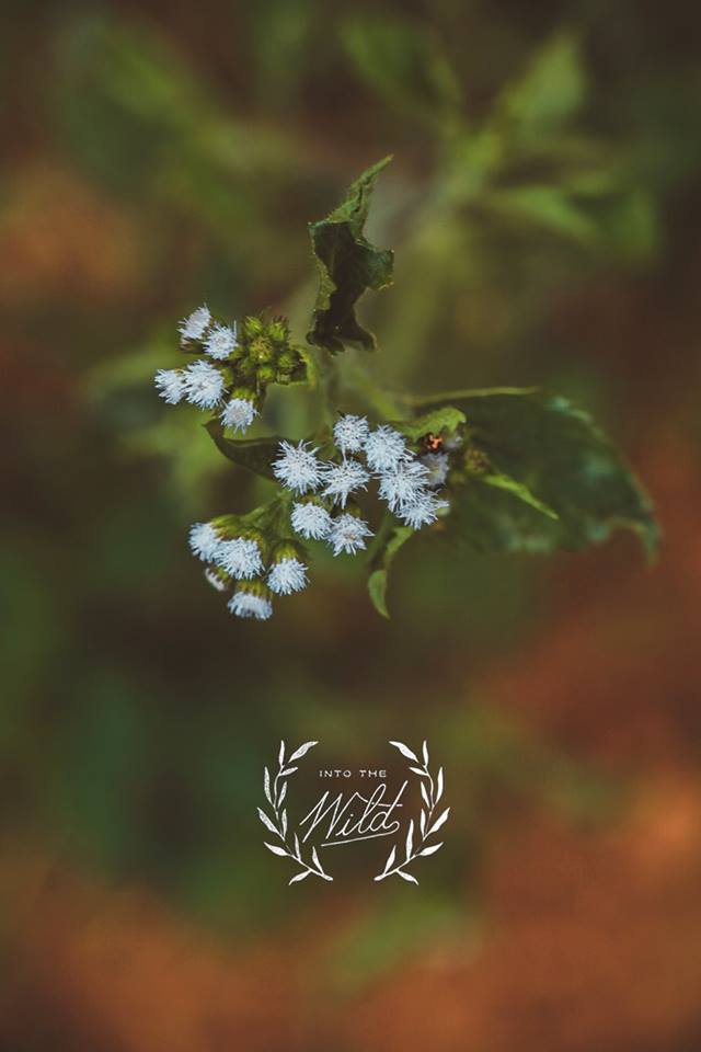 Du lịch Sapa 2 ngày em đêm chỉ hơn 1 triệu đồng