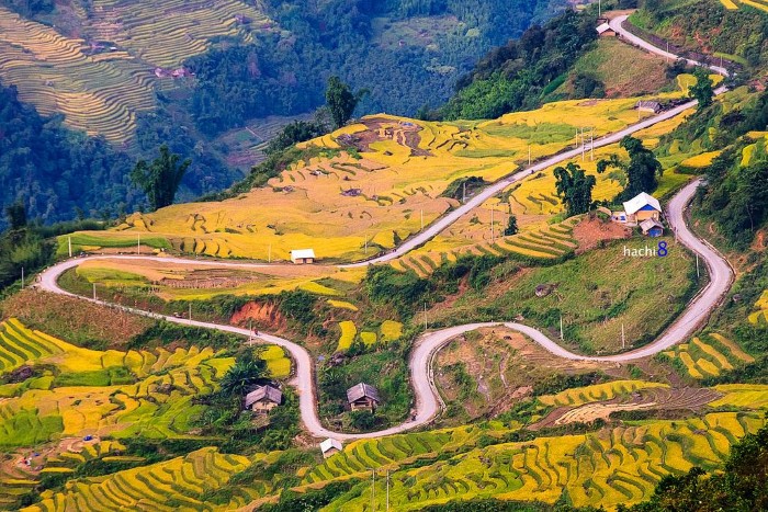 Quanh co qua những mùa hoa, mùa lúa - Ảnh: Ngô Huy Hòa