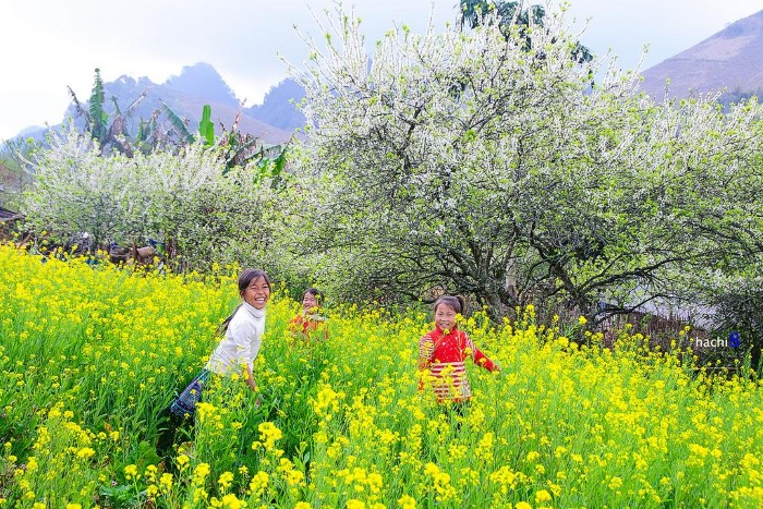 Nụ cười em thơ ngây - Ảnh: Ngô Huy Hòa