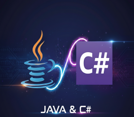 Your Step-by-Step Guide to Becoming a Developer  පියවරෙන් පියවර මාර්ගෝපදේශය