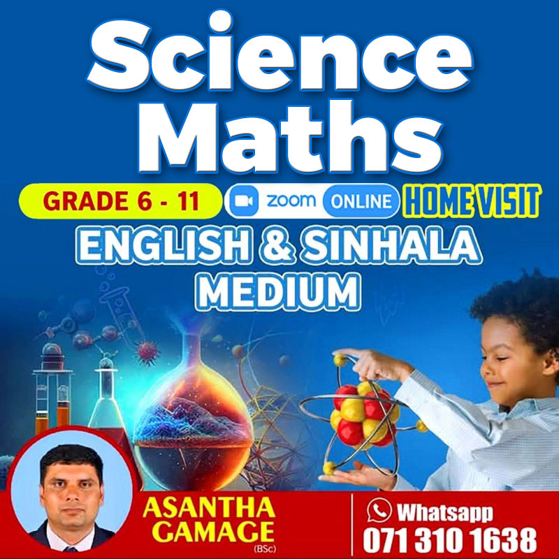 Science and Maths home visit classes